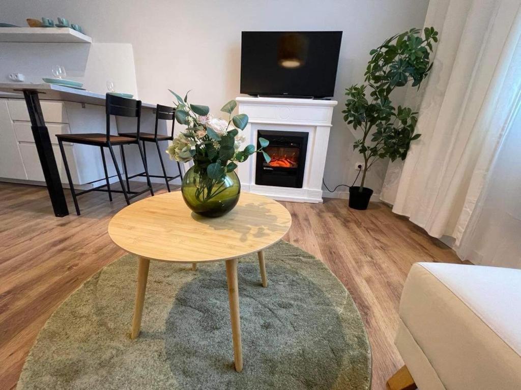 Apartman Vinohrady Brno Buitenkant foto